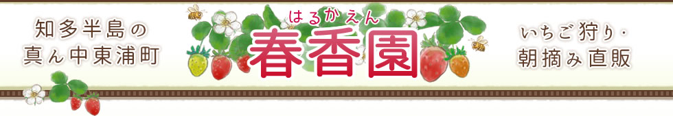 知多半島の真ん中東浦町　いちご狩り・朝摘み直販　春香園