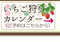 →いちご狩りカレンダー（ご予約はこちら）