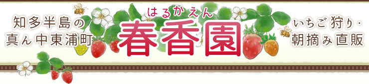 知多半島の真ん中東浦町　いちご狩り・朝摘み直販　春香園