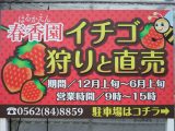 DSCF0347