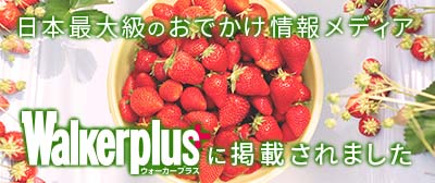 ウォーカープラス（リンク用）